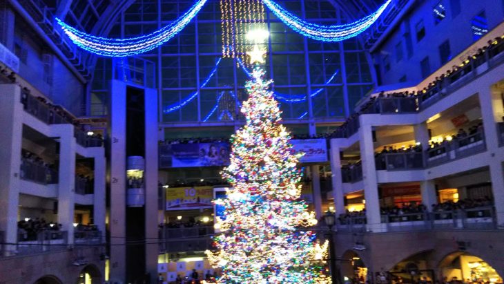 サッポロファクトリー ジャンボクリスマスツリーの点灯式に行ってきたよ 札幌移住 ブログ